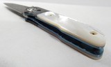 Folding Knife Made by Allen Elishewitz - 14 of 18