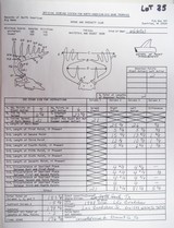 Huge Boone & Crocket Texas Whitetail Mount - 8 of 9
