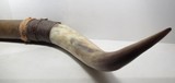 DECORATIVE STEER HORNS from COLLECTING TEXAS – 43” TIP to TIP - 5 of 9