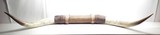DECORATIVE STEER HORNS from COLLECTING TEXAS – 43” TIP to TIP - 2 of 9