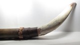 DECORATIVE STEER HORNS from COLLECTING TEXAS – 43” TIP to TIP - 8 of 9