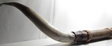 DECORATIVE STEER HORNS from COLLECTING TEXAS – 43” TIP to TIP - 7 of 9
