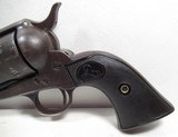 TEXAS SHIPPED COLT S.A.A. 45 REVOLVER from COLLECTING TEXAS – MADE 1900 – 100% PURE MATCHING COLT with HISTORY - 2 of 19