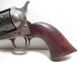 ANTIQUE COLT S.A.A. U.S. CAVALRY – N.Y. MILITIA – 1 of 800 – REVOLVER from COLLECTING TEXAS – SHIPPED 1883 – FACTORY LETTER - 2 of 25