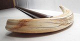 ANTIQUE HORN/TUSK HANDLE WOODEN CANE from COLLECTING TEXAS - 4 of 7