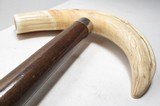 ANTIQUE HORN/TUSK HANDLE WOODEN CANE from COLLECTING TEXAS - 6 of 7