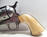 NICE ANTIQUE COLT S.A.A. 45 REVOLVER from COLLECTING TEXAS – IVORY GRIPS – 7 1/2” BARREL – NICKEL FINISH - 5 of 17
