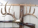 TOP 10 ARKANSAS STATE BOONE & CROCKETT CLUB RECORD DEER ANTLERS from COLLECTING TEXAS – 161-5/8 POINT CERTIFIED BUCK with CERTIFICATE - 1 of 13