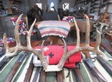 TOP 10 ARKANSAS STATE BOONE & CROCKETT CLUB RECORD DEER ANTLERS from COLLECTING TEXAS – 161-5/8 POINT CERTIFIED BUCK with CERTIFICATE - 10 of 13