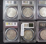 10 CARSON CITY SLABBED and PCGS GRADED MORGAN SILVER DOLLAR COINS from COLLECTING TEXAS - 5 of 7