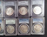 10 CARSON CITY SLABBED and PCGS GRADED MORGAN SILVER DOLLAR COINS from COLLECTING TEXAS - 3 of 7