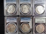 10 CARSON CITY SLABBED and PCGS GRADED MORGAN SILVER DOLLAR COINS from COLLECTING TEXAS - 2 of 7