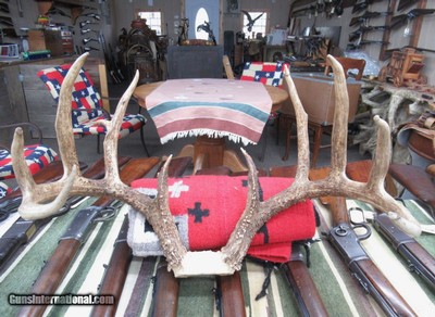 TOP 10 ARKANSAS STATE BOONE & CROCKETT CLUB RECORD DEER ANTLERS from COLLECTING TEXAS – 161-5/8 POINT CERTIFIED BUCK with CERTIFICATE - Image 10 of 13