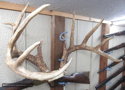 TOP 10 ARKANSAS STATE BOONE & CROCKETT CLUB RECORD DEER ANTLERS from COLLECTING TEXAS – 161-5/8 POINT CERTIFIED BUCK with CERTIFICATE - Image 9 of 13