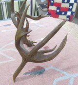HUGE 19-POINT TROPHY WHITETAIL DEER ANTLERS with DROP-TINES from COLLECTING TEXAS - 3 of 16