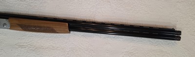 CZ Southpaw Sterling - Image 14 of 15
