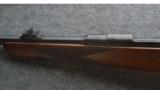 Cogswell and Harrison Mauser .318 Nitro Express - 5 of 5
