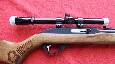Glenfield Model 60.22LRwith 4x Scope - Image 5 of 13