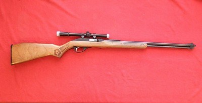 Glenfield Model 60.22LRwith 4x Scope - Image 1 of 13