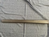 8 Bore P. Webley Double Rifle with Shotgun Barrels - 10 of 15