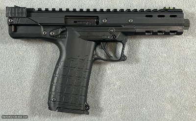 KEL TEC CP33 .22 LONG RIFLE