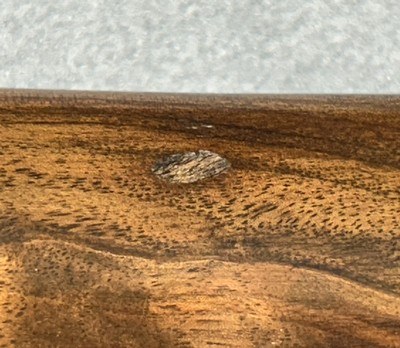 WINCHESTER MODEL 12 TRAP Y SERIES 12 GAUGE - Image 20 of 20
