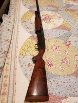 Winchester 12 pigeon - 13 of 13