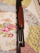 Winchester 12 pigeon - 11 of 13