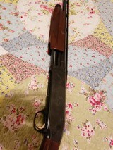 Browning 20ga. Invector plus engraved - 14 of 15