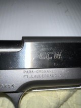 Para ordinance CCW 45 - 6 of 10