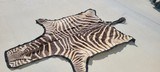 Zebra Rug - 3 of 3