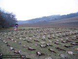 Wingshooting Adventures -
Driven Pheasant Shooting in Hungary for 2021. Date to be announced first of the year. - 10 of 17