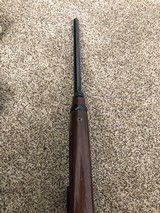 Browning BLR 81 Lightning, 243 Winchester - 11 of 15