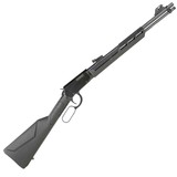 Rossi Rio Bravo, 22 WMR, 20