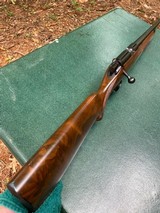 Kimber of Oregon A series Custom Classic - 15 of 15