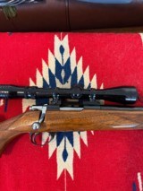 Browning Belgium Safari .222 Remington - 2 of 6