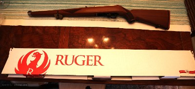 Ruger 10/22 international ( Manlicher )