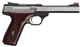 BROWNING BUCKMARK PISTOL: PRECISION TRIGGER TUNING AND ACCURACY TUNING: THE BEST AVAILABLE GUARANTEED - 4 of 6
