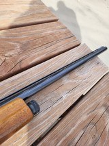 Browning Belgian A5 Light 20 - 20 gauge - 8 of 11