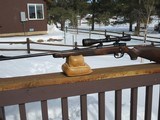 LH Steyr-Mannlicher Model M, 270 Win - 7 of 10