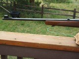 Winchester Model 88 Pre 64 ,308, early first year production - 10 of 10