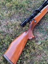 WEATHERBY Mark V Varmintmaster 224 - 6 of 11