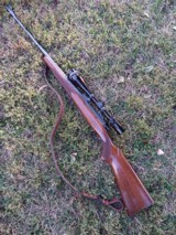 Winchester Model 70 Standard 220Swift - 4 of 12