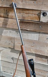 Winchester Model 70 Standard 220Swift - 7 of 12