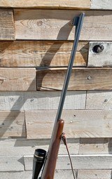 Winchester Model 70 Standard 220Swift - 3 of 12