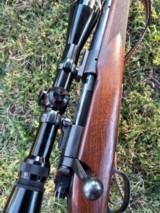 Winchester Model 70 Standard 220Swift - 2 of 12