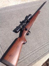 Winchester Model 70 SA Stock - 8 of 8