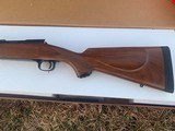 Winchester Model 70 Sporter 338 win-mag - 8 of 15