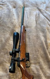 CZ 527 221 Remington Fireball