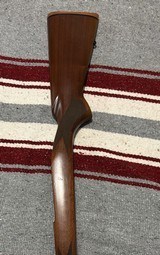 Winchester 70 LW RH factory SA Stock - 3 of 7